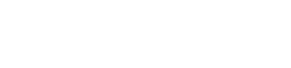 Logo 9